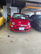 PURITY - セリーヌの女の子ブログ画像