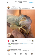 PURITY - セリーヌの女の子ブログ画像