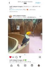 PURITY - セリーヌの女の子ブログ画像