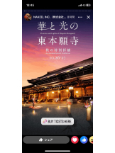 PURITY - セリーヌの女の子ブログ画像