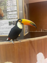 PURITY - セリーヌの女の子ブログ画像