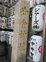 PURITY - セリーヌの女の子ブログ画像