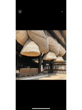 PURITY - セリーヌの女の子ブログ画像