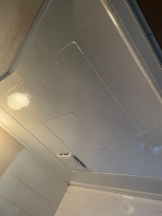 PURITY - セリーヌの女の子ブログ画像