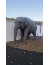 PURITY - セリーヌの女の子ブログ画像