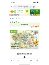 PURITY - セリーヌの女の子ブログ画像