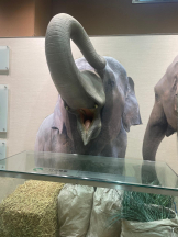 PURITY - セリーヌの女の子ブログ画像