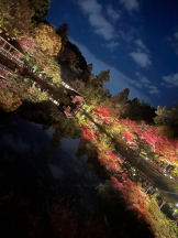 PURITY - セリーヌの女の子ブログ画像