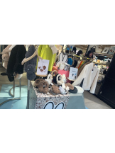 PURITY - セリーヌの女の子ブログ画像