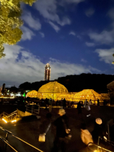 PURITY - セリーヌの女の子ブログ画像