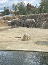 PURITY - セリーヌの女の子ブログ画像