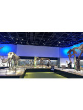 PURITY - セリーヌの女の子ブログ画像