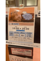 PURITY - セリーヌの女の子ブログ画像