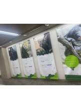 PURITY - セリーヌの女の子ブログ画像