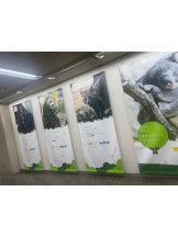 PURITY - セリーヌの女の子ブログ画像