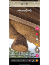 PURITY - セリーヌの女の子ブログ画像