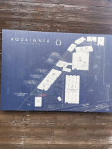 PURITY - セリーヌの女の子ブログ画像