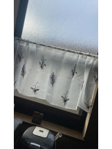 PURITY - セリーヌの女の子ブログ画像