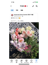 PURITY - セリーヌの女の子ブログ画像