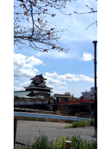 PURITY - セリーヌの女の子ブログ画像