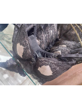 PURITY - セリーヌの女の子ブログ画像