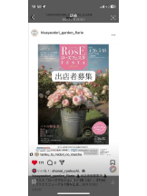 PURITY - セリーヌの女の子ブログ画像