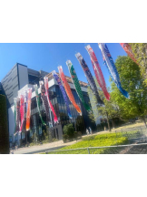 PURITY - セリーヌの女の子ブログ画像