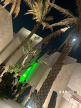 PURITY - セリーヌの女の子ブログ画像