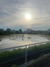 PURITY - セリーヌの女の子ブログ画像