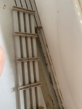 PURITY - セリーヌの女の子ブログ画像