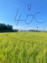 PURITY - セリーヌの女の子ブログ画像