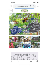 PURITY - セリーヌの女の子ブログ画像