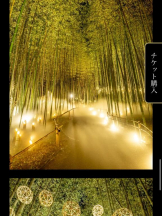 PURITY - セリーヌの女の子ブログ画像