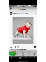 PURITY - セリーヌの女の子ブログ画像