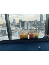 PURITY - セリーヌの女の子ブログ画像