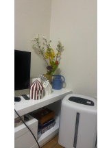 PURITY - セリーヌの女の子ブログ画像