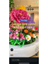 PURITY - セリーヌの女の子ブログ画像