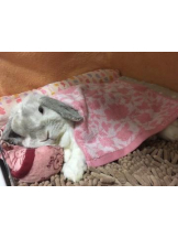 SOPHIA - まりなの女の子ブログ画像