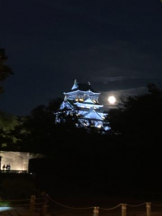 SOPHIA - まりなの女の子ブログ画像