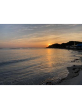 SOPHIA - まりなの女の子ブログ画像