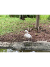 SOPHIA - まりなの女の子ブログ画像