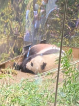 SOPHIA - まりなの女の子ブログ画像