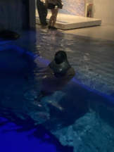 SOPHIA - まりなの女の子ブログ画像