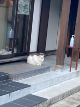 SOPHIA - まりなの女の子ブログ画像