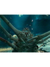 SOPHIA - まりなの女の子ブログ画像