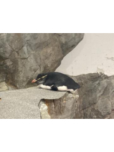 SOPHIA - まりなの女の子ブログ画像