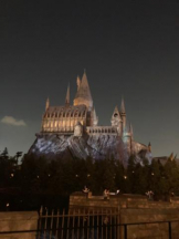 SOPHIA - まりなの女の子ブログ画像