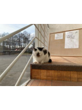 SOPHIA - まりなの女の子ブログ画像