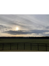 SOPHIA - まりなの女の子ブログ画像