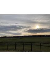 SOPHIA - まりなの女の子ブログ画像